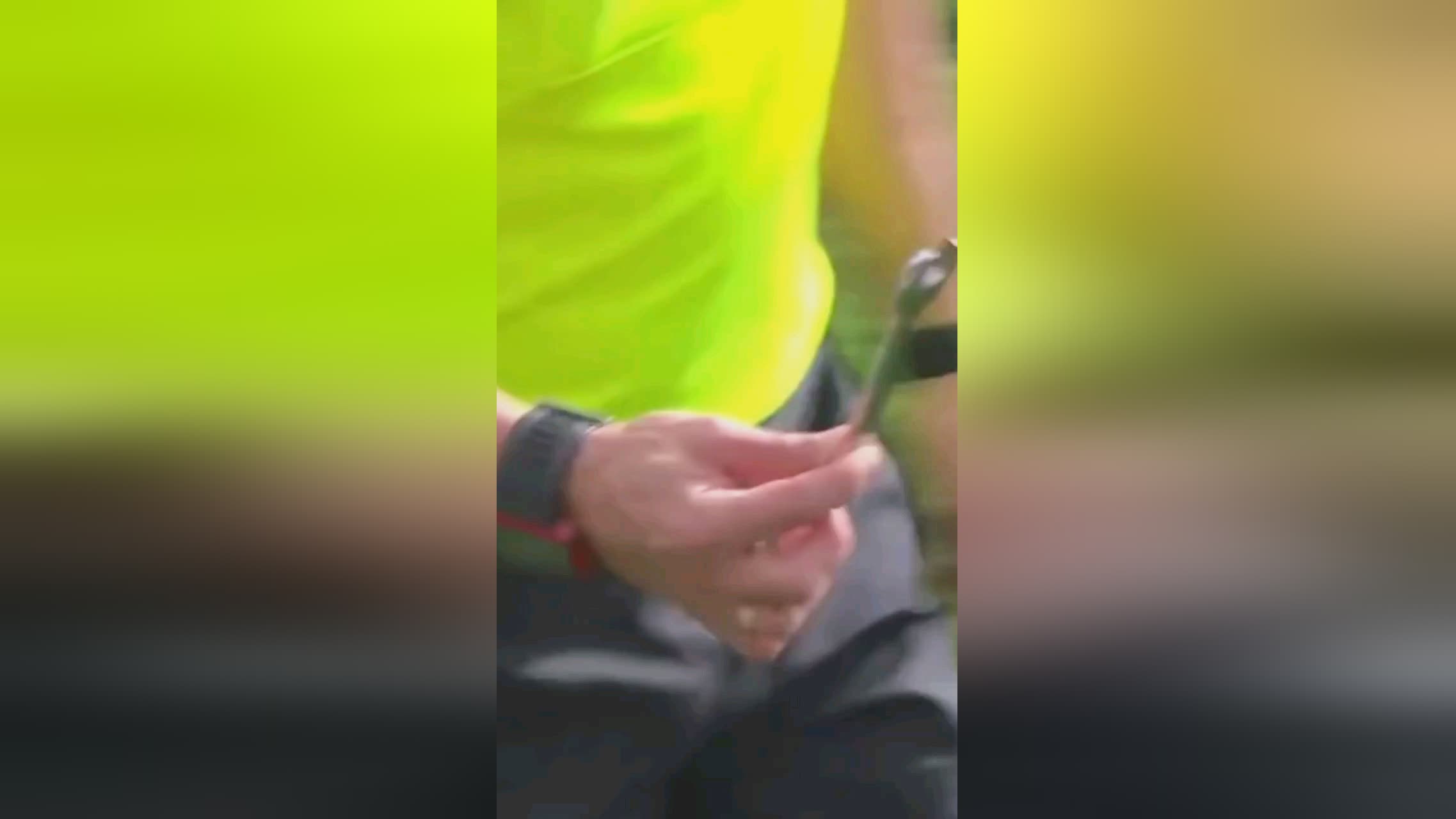 钟这